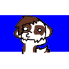 Jenny24111
