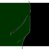 XenosCollab