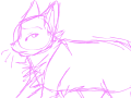 Cat animation :3