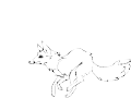 Snowfire run WIP