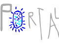PORTAL