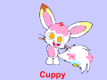 Cuppy animation