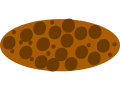 cookie