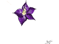 Flower :3