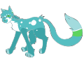 Cat Adoptable Male