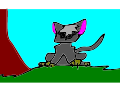 Graystripe