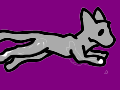 (Seizure Warning) RUN KITTY RUN!