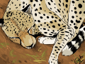 Sleeping