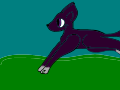 idn