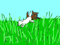 Jumpy Jumpy!