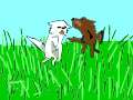 Jumpy jumpy part 2