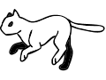 VERY SMOOTH running cat