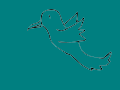 A Blue Humming Bird