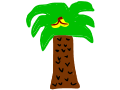 palm tree