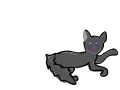 My cat Sprinkles