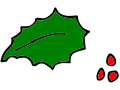 holly leaf and its berrys