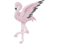 Avatar for Karen