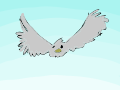 Fly Cycle