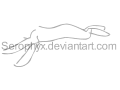 Run Cycle