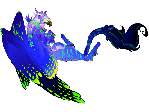 Nocte Stella