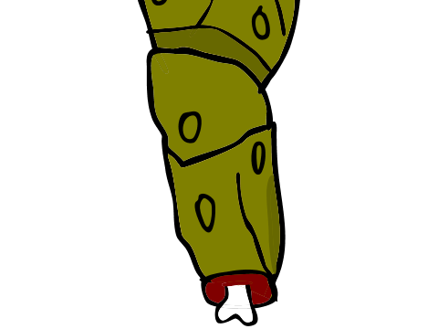Tezca leg 2
